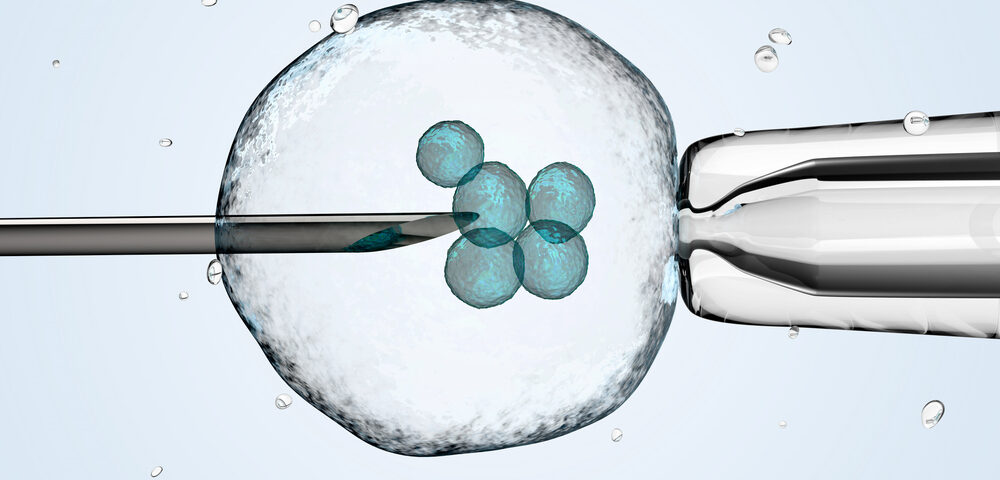 IVF embryos