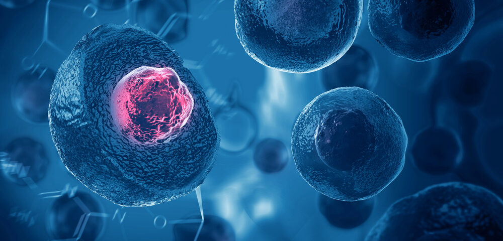 Skin cells