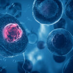 Skin cells