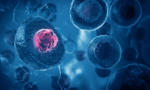 Skin cells
