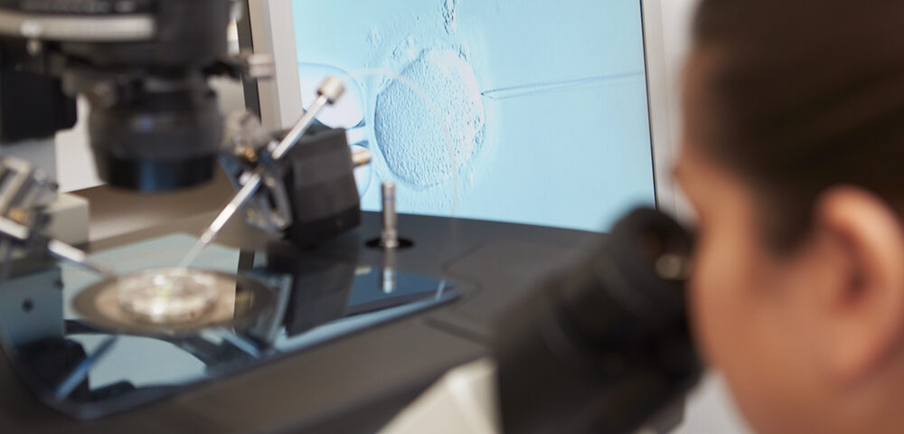 Embryologist looking at IVF