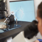 Embryologist looking at IVF