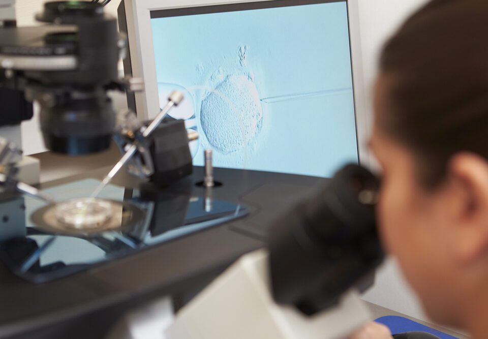Embryologist looking at IVF