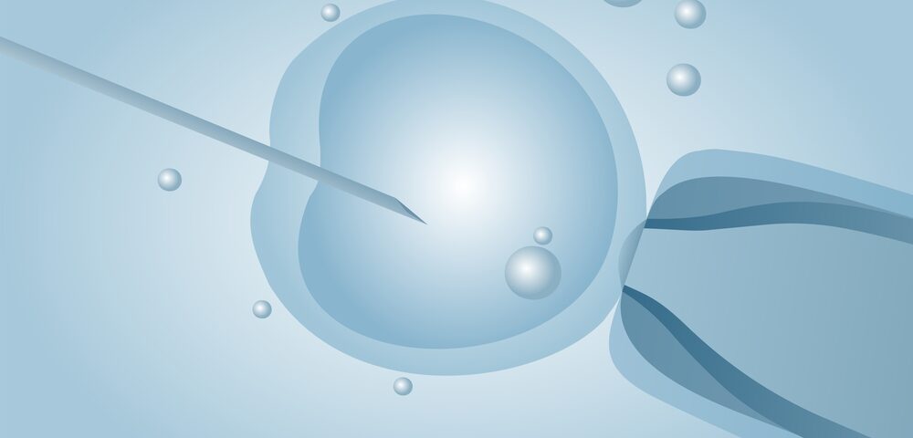 IVF embryo implantation