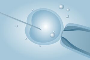 IVF embryo implantation